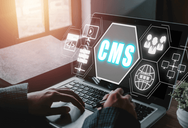 Bespoke CMS SEO Services: Tailored Strategies for WordPress, Webflow & Custom Platforms