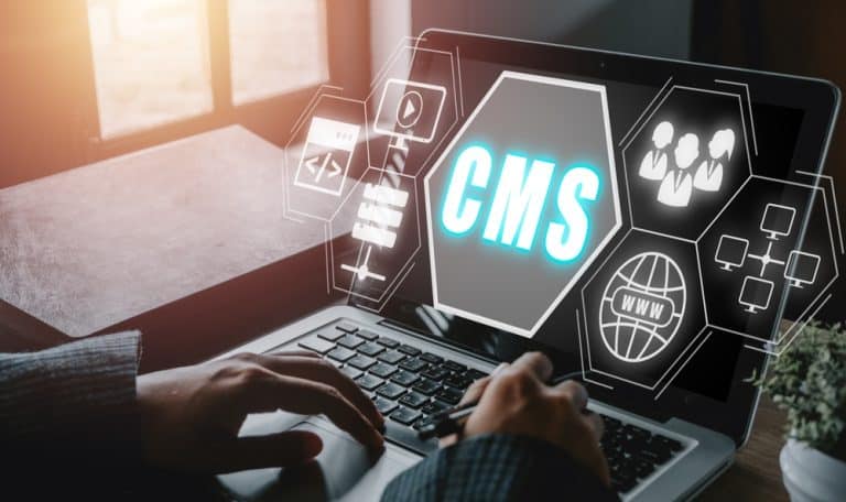 Bespoke CMS SEO Services