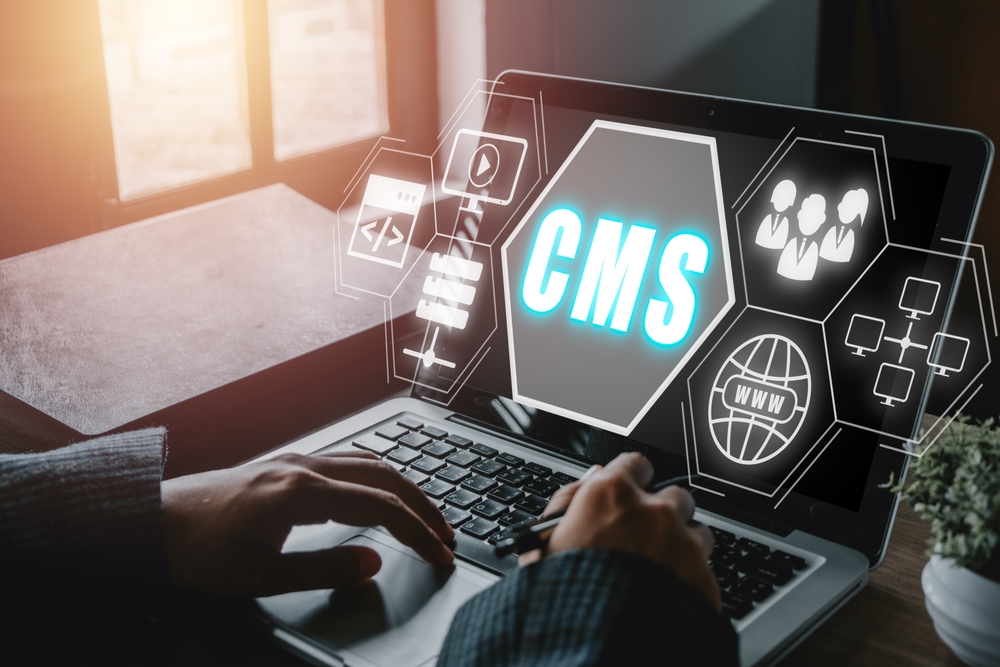 Bespoke CMS SEO Services