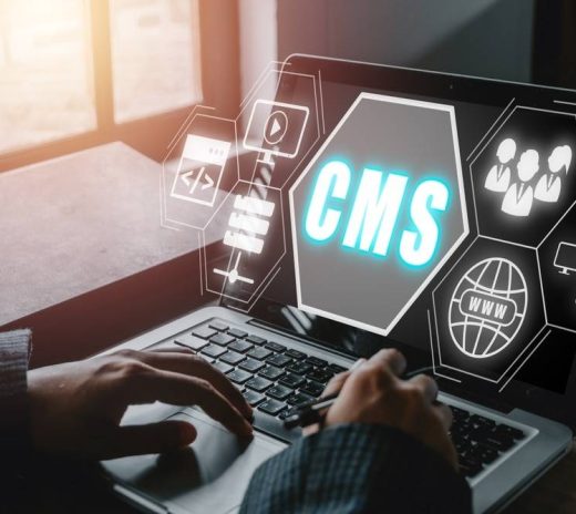 Bespoke CMS SEO Services